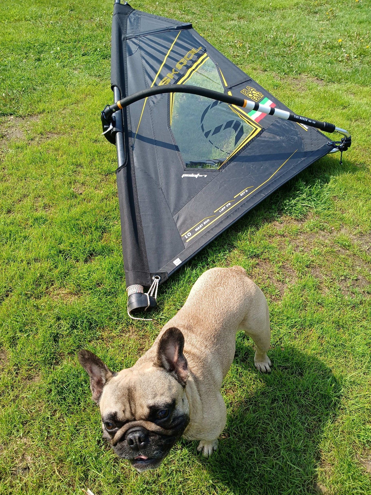 2024 - Skool Apprentissage - 1m